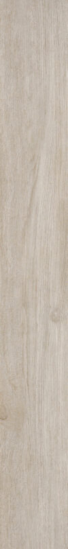ragno woodliving r40h.jpg
