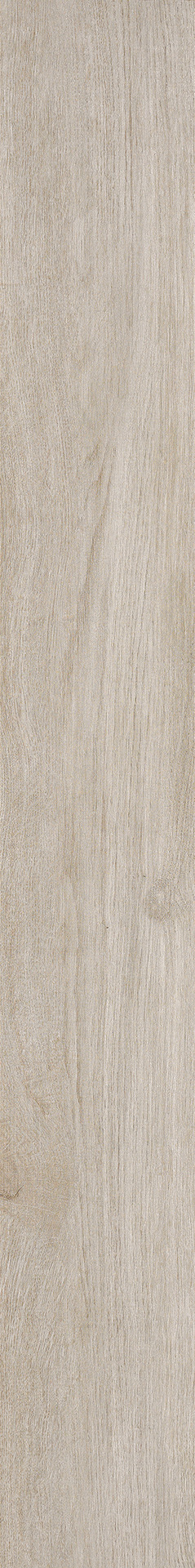 ragno woodliving r40h.jpg
