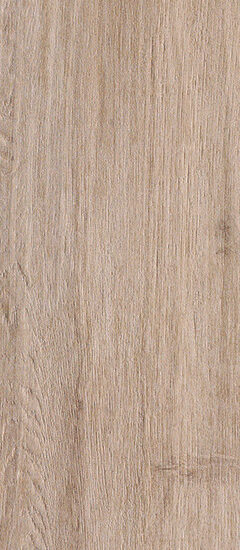 ragno woodliving r40j.jpg