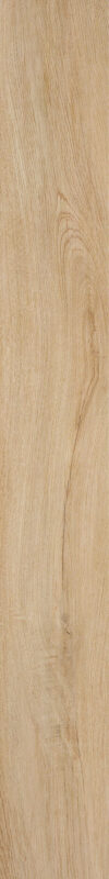 ragno woodliving r40l.jpg