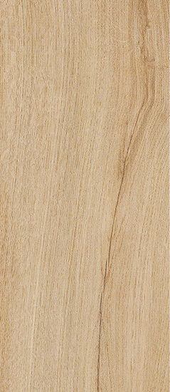 ragno woodliving r40l.jpg