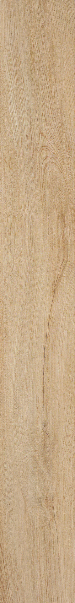ragno woodliving r40l.jpg