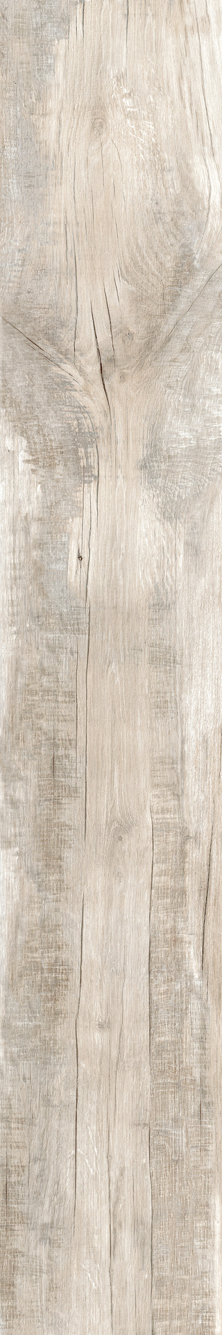 ragno woodmania r55z.jpg