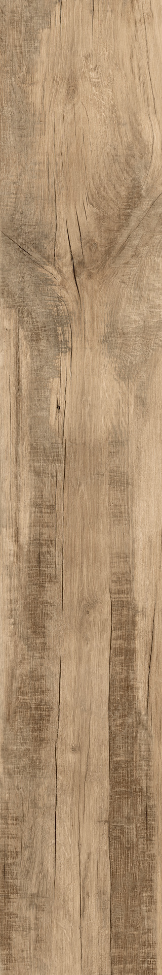 ragno woodmania r56a.jpg