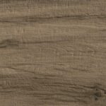 ragno woodmania xt20 r5ts.jpg