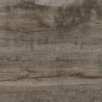 ragno woodmania xt20 r5tt.jpg