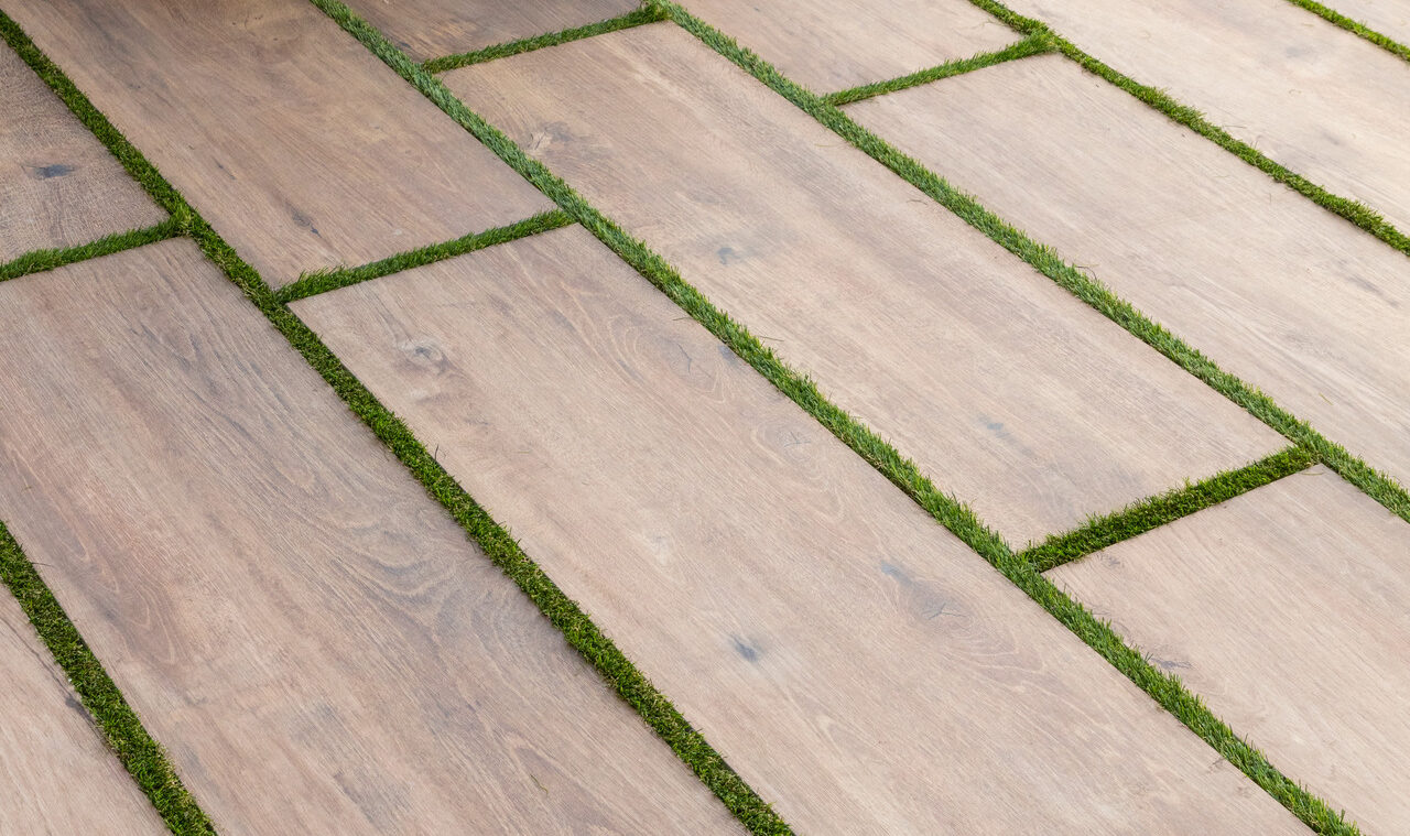 ragno woodsense xt20 002.jpg