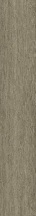 ragno woodsoft r13z.jpg