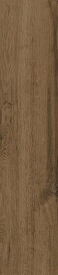 ragno woodtale r4tr.jpg